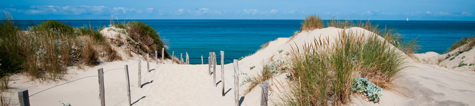 Plages des Landes autour des Landes